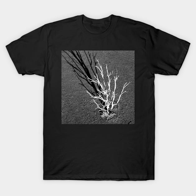 The White Tree, Benalla : aerial photograph T-Shirt by rozmcq